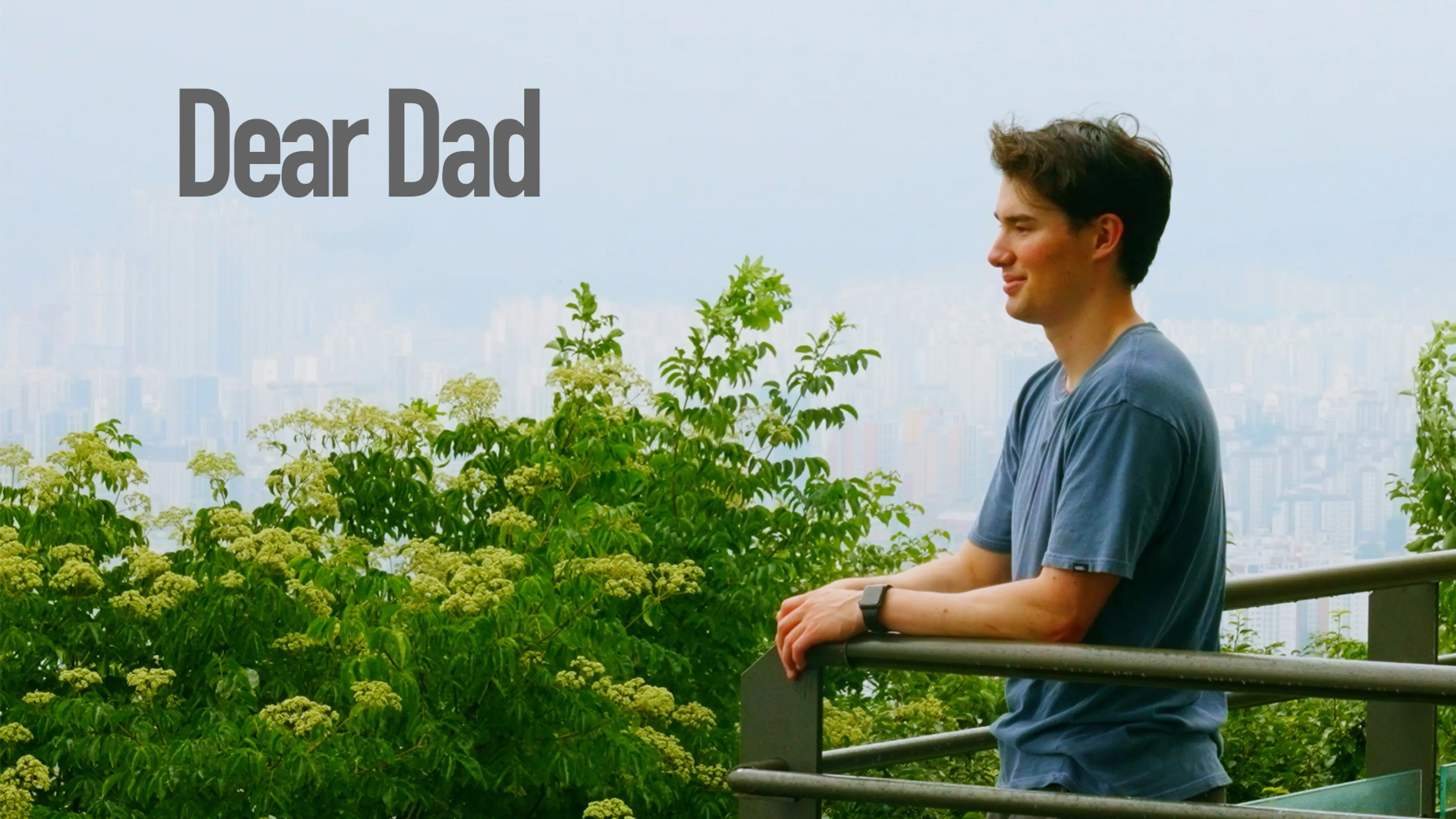 Dear Dad poster